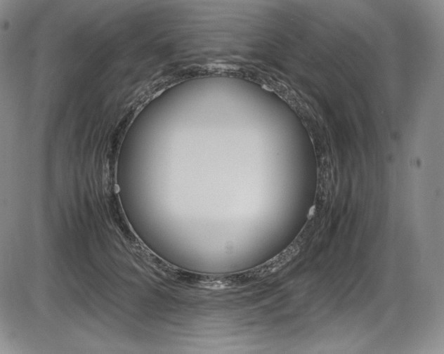 X0000086340704200703300957