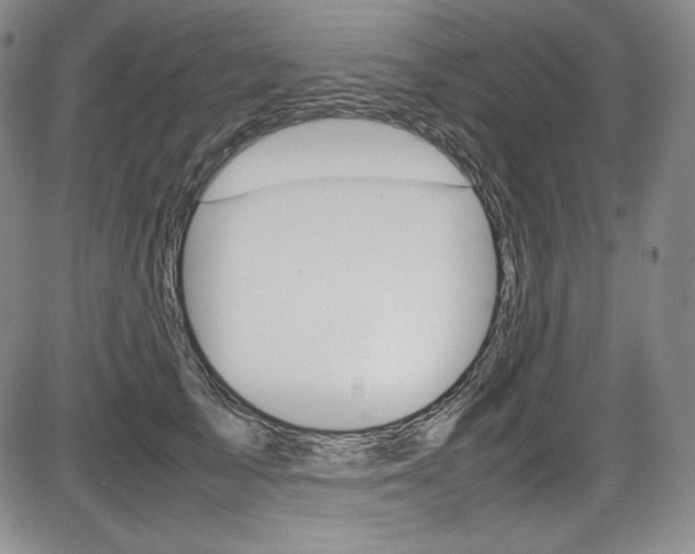 X0000086340705200703300957