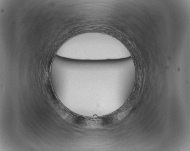 X0000086340707200703300957