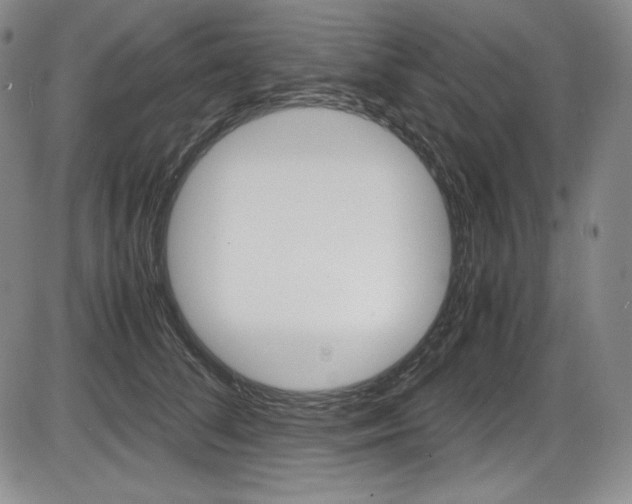 X0000086340708200703300957