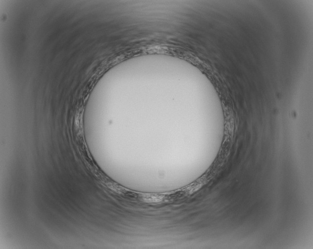 X0000086340709200703300957