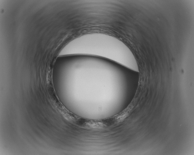 X0000086340712200703300957