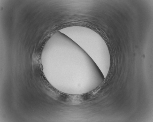 X0000086340713200703300957