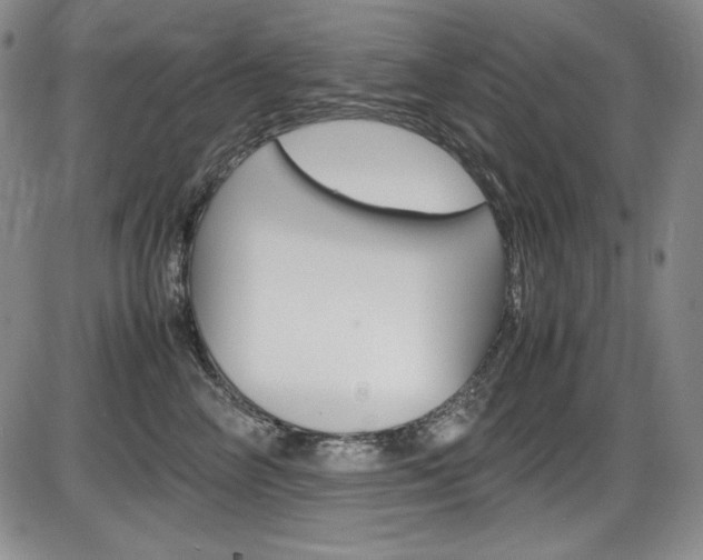 X0000086340714200703300957