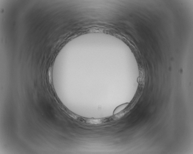 X0000086340717200703300956