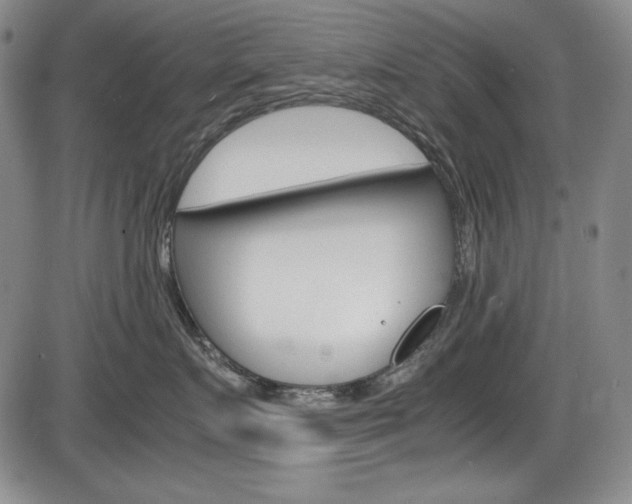 X0000086340719200703300956