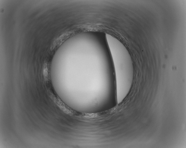 X0000086340720200703300956