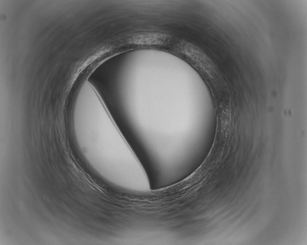 X0000086340727200703300956