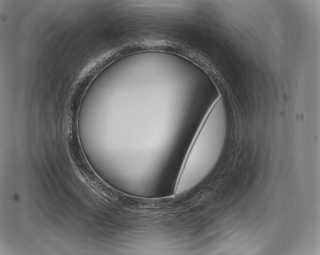 X0000086340732200703300956