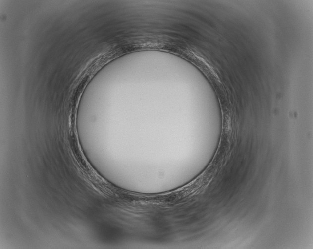 X0000086340733200703300956
