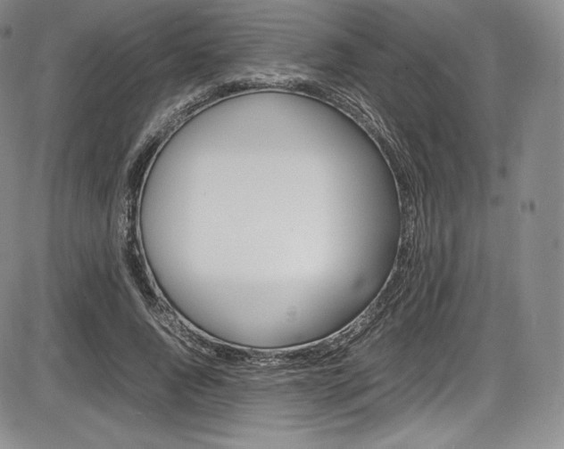 X0000086340736200703300956