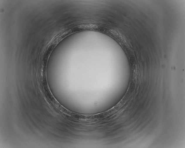 X0000086340739200703300956