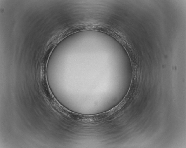 X0000086340740200703300956