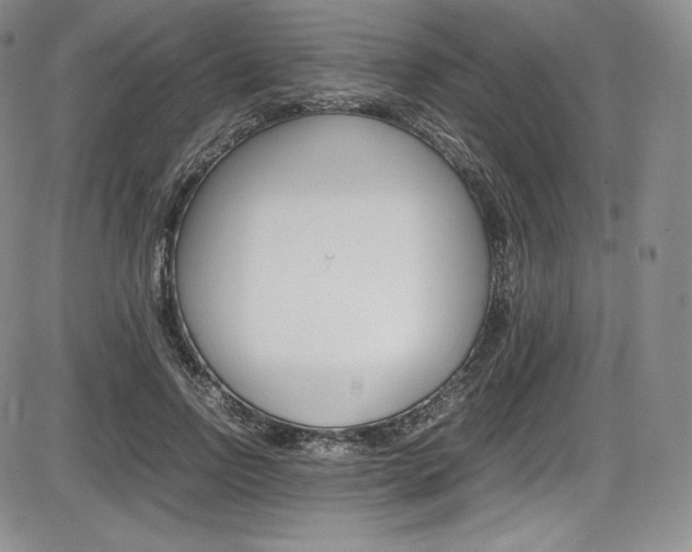 X0000086340742200703300956