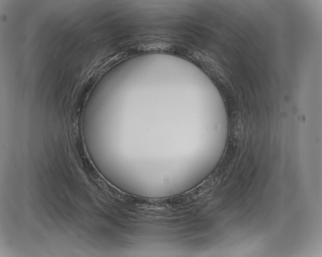 X0000086340743200703300956