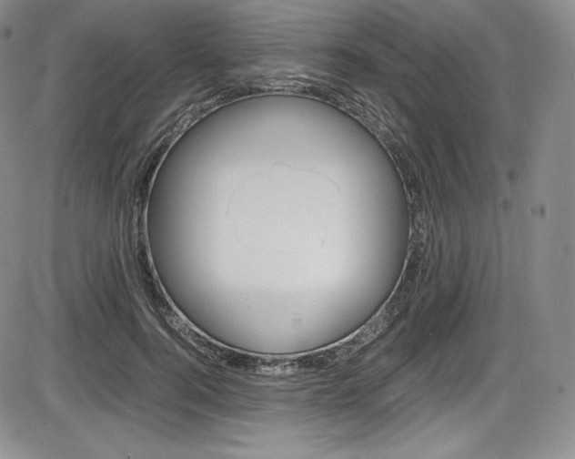 X0000086340744200703300956