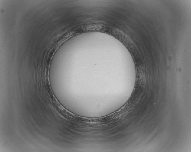 X0000086340745200703300956