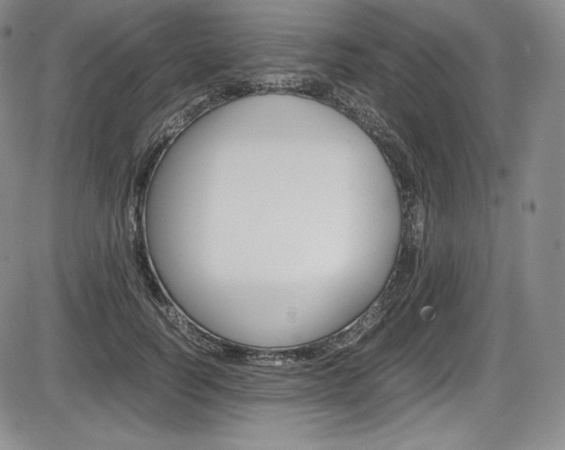X0000086340746200703300956
