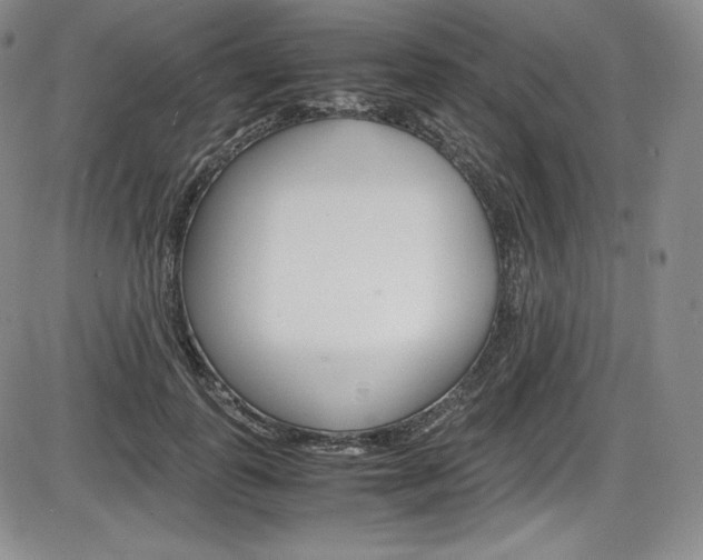 X0000086340747200703300956