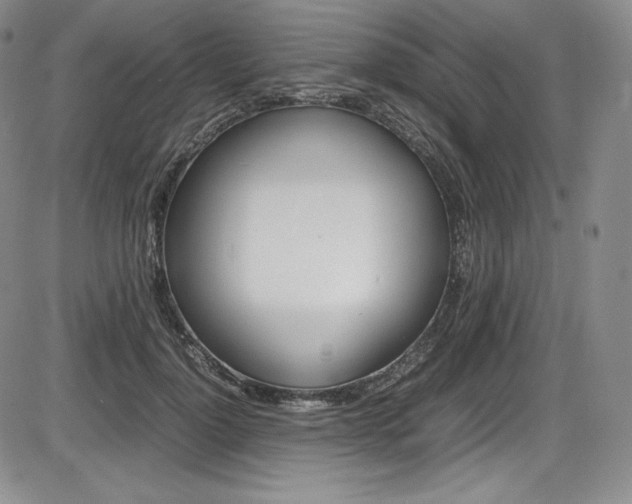 X0000086340748200703300956