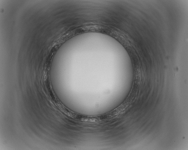 X0000086340751200703300956