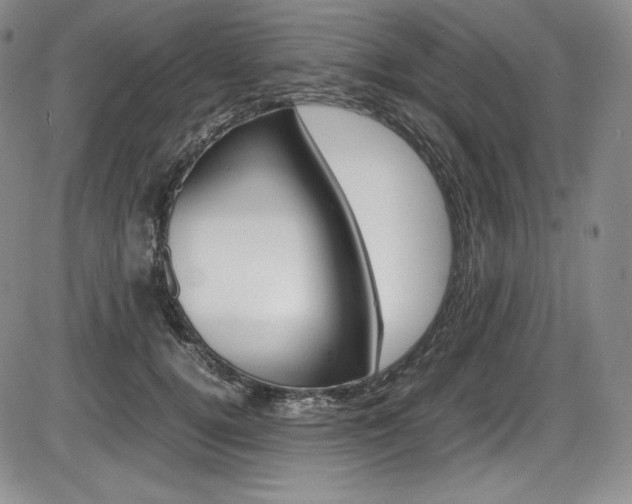 X0000086340752200703300956