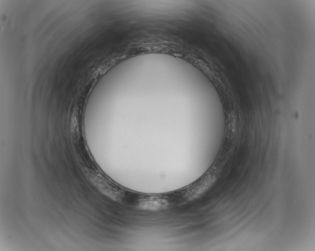 X0000086340754200703300956