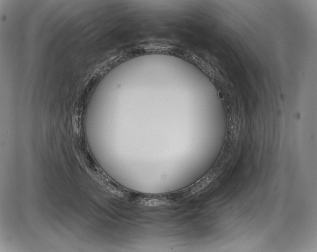 X0000086340755200703300956