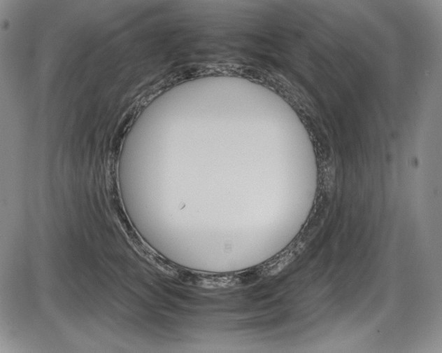X0000086340757200703300956