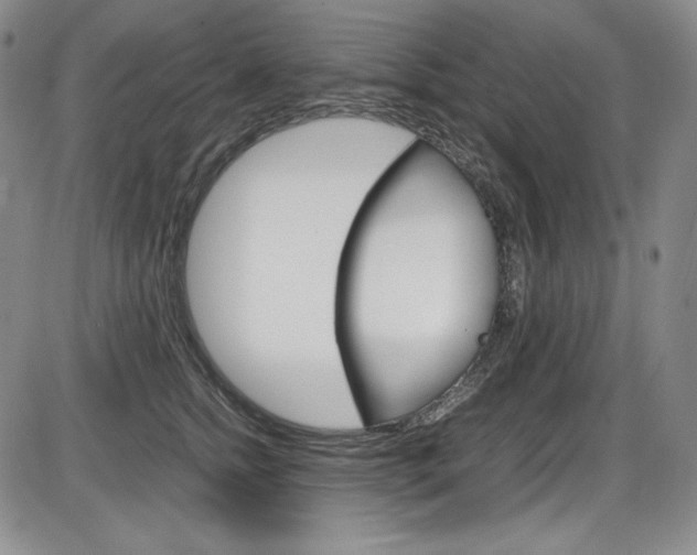 X0000086340758200703300956