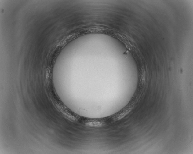 X0000086340759200703300956