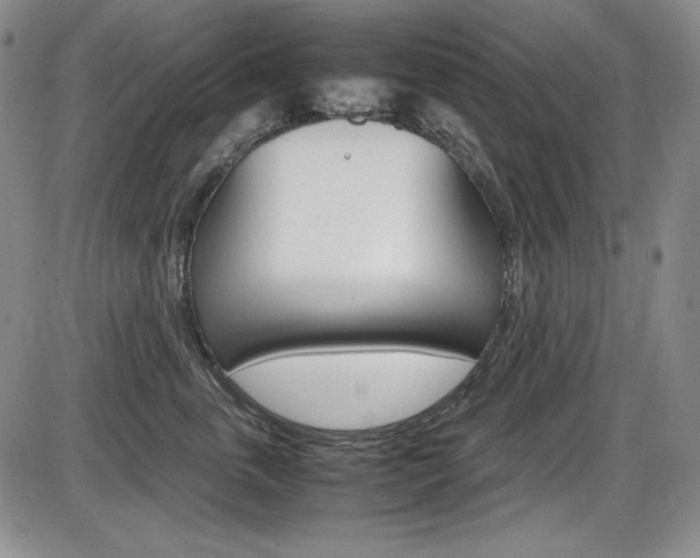 X0000086340763200703300956