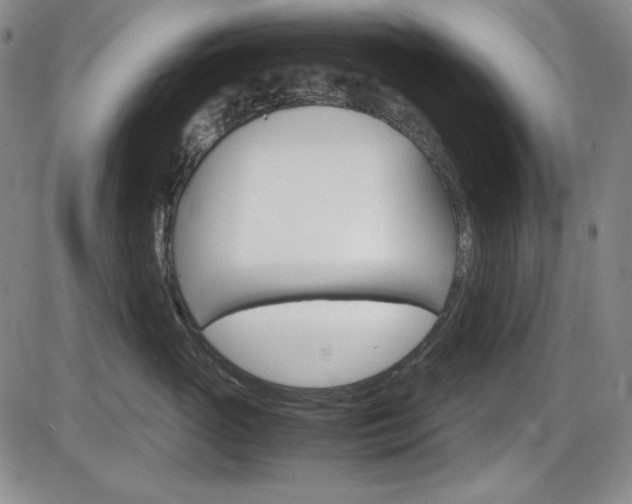 X0000086340765200703300956