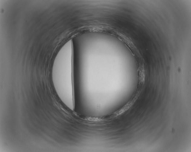 X0000086340766200703300956