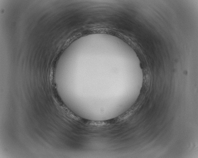 X0000086340767200703300956
