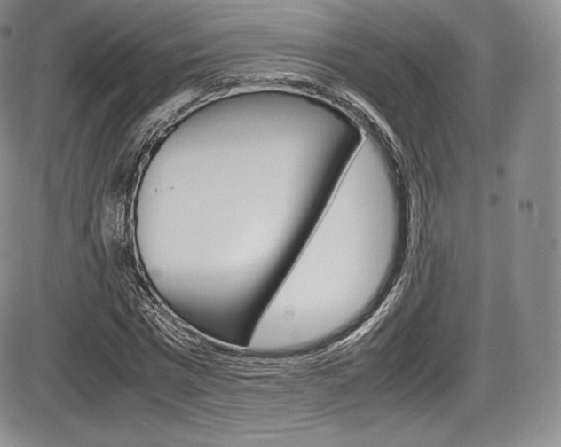 X0000086340777200703300955