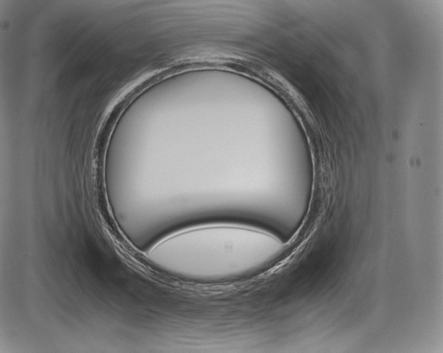 X0000086340779200703300955
