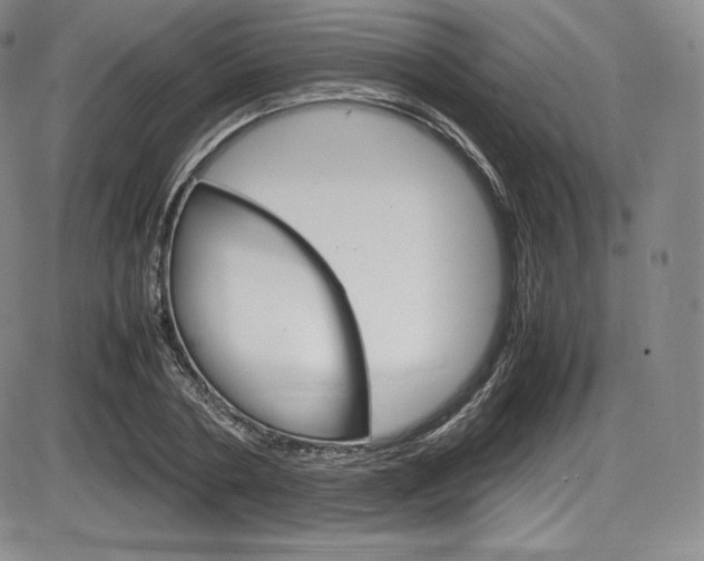 X0000086340786200703300955