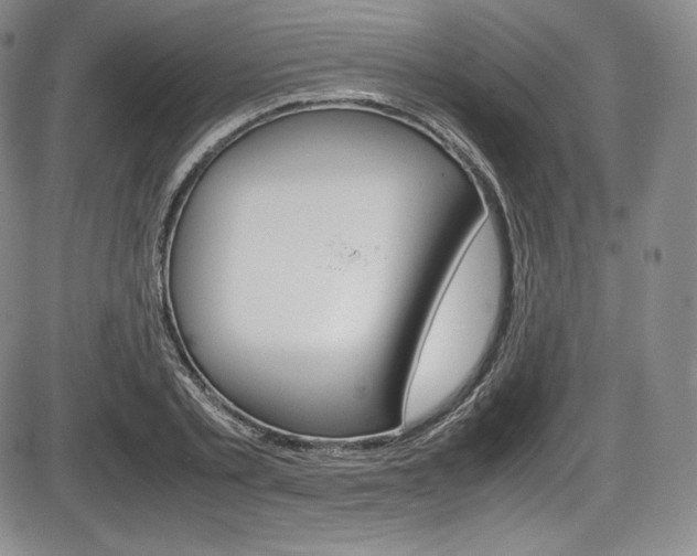 X0000086340789200703300955