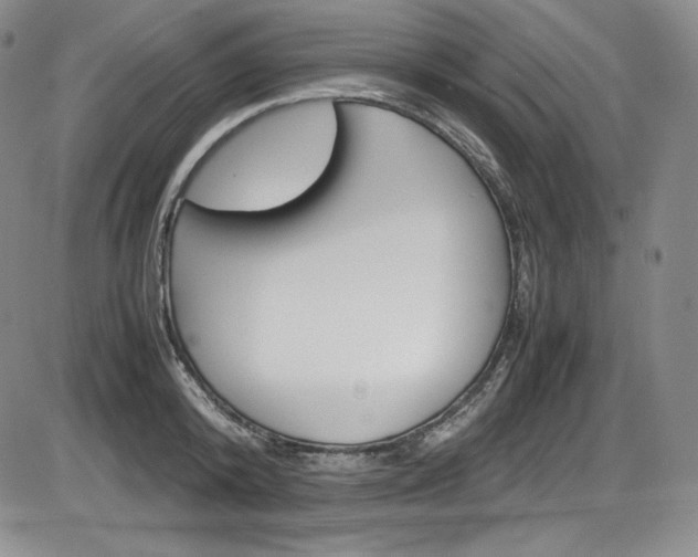 X0000086340800200703300955