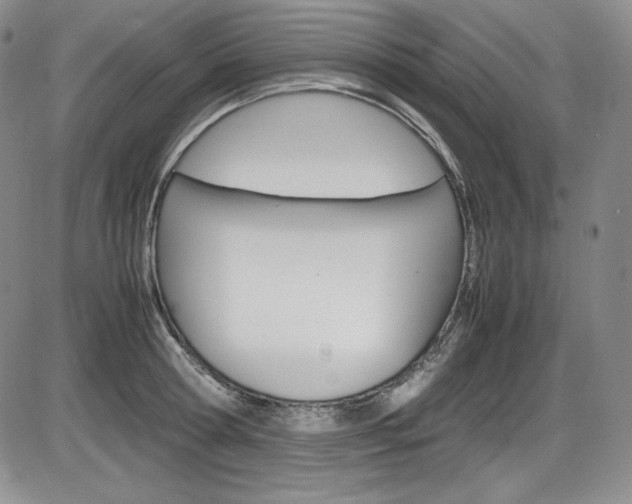 X0000086340802200703300955