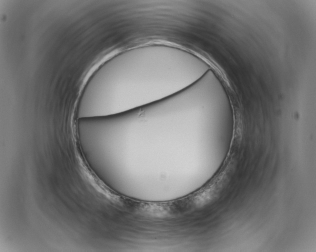 X0000086340806200703300955