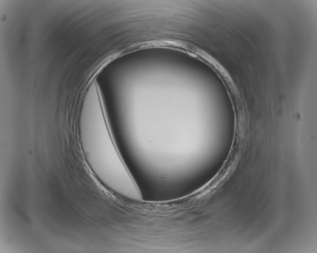 X0000086340809200703300955