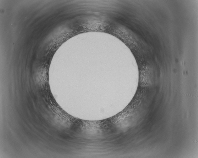 X0000086340820200703300954