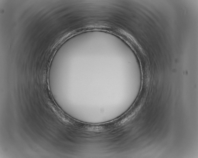 X0000086340833200703300954