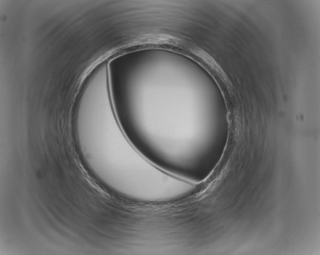 X0000086340834200703300954