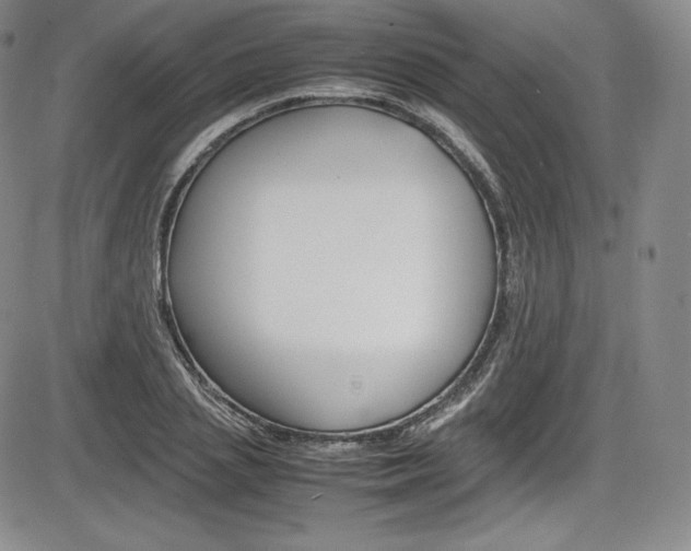 X0000086340837200703300954