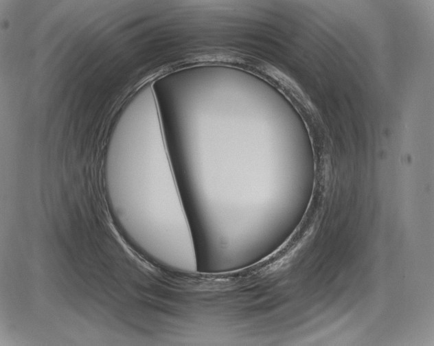X0000086340841200703300954