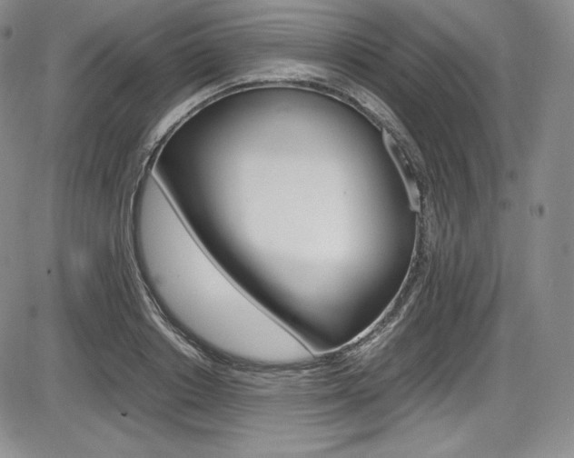 X0000086340842200703300954