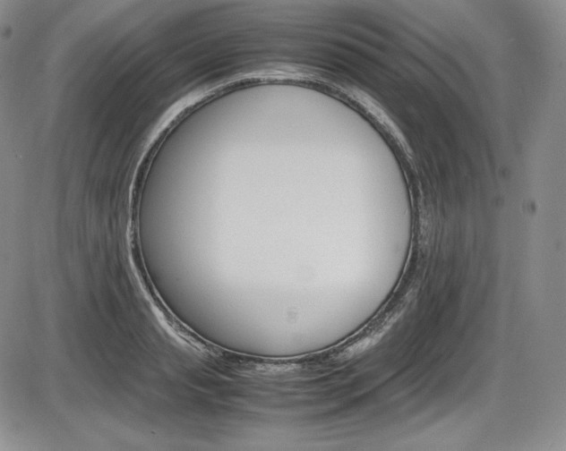 X0000086340845200703300954
